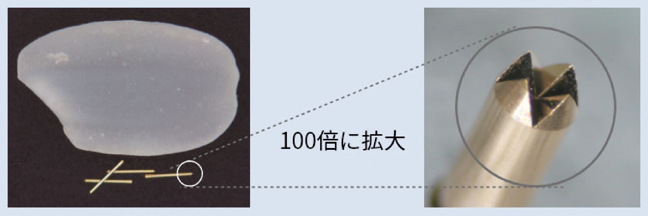 米粒との比較写真（左）とクラウン加工（右）